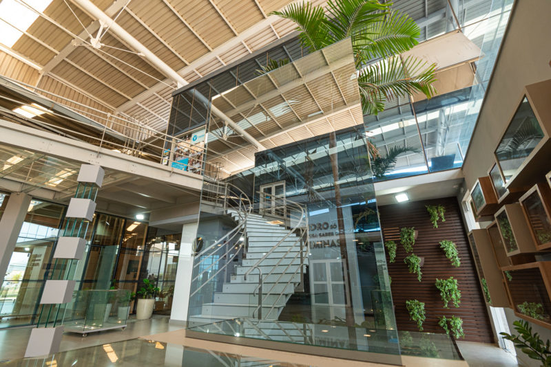 Viminas – Showroom